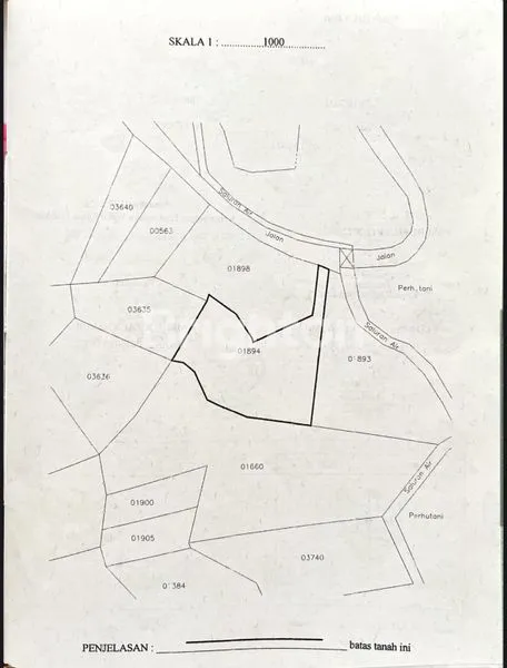 image TANAH KEBUN DI PASURUAN JAWA TIMUR (3)