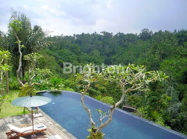 image DI JUAL HOTEL BOUTIQUE DI UBUD - TEGALLALANG BALI DENGAN VIEW ASRI PEPOHONAN SAWAH (3)