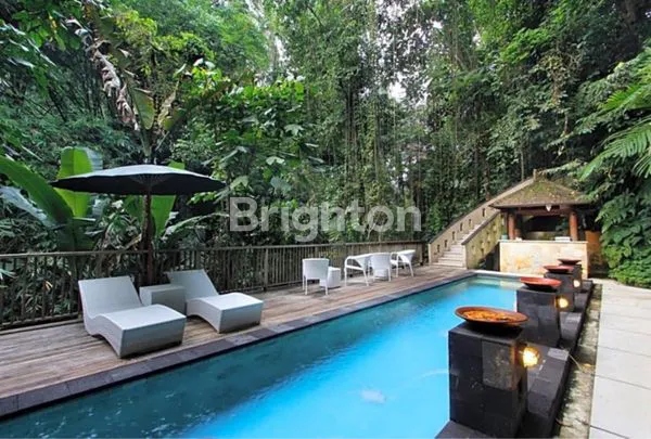 image DI JUAL HOTEL BOUTIQUE DI UBUD - TEGALLALANG BALI DENGAN VIEW ASRI PEPOHONAN SAWAH (4)