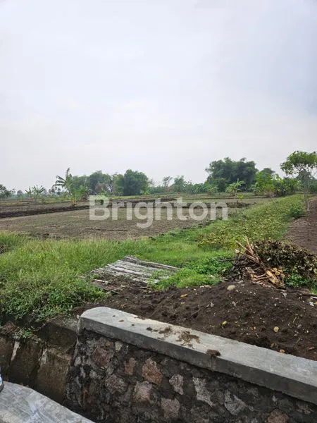image TANAH DI BENJENG GRESIK (1)