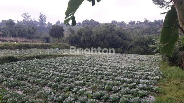 image KAVLING STRATEGIS BANDUNG BARAT SHM (3)