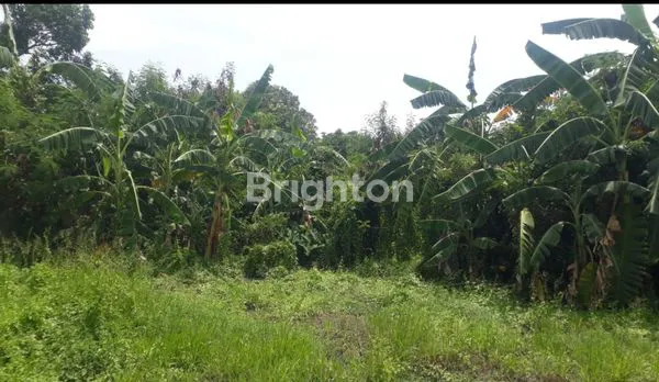 image DISEWAKAN TANAH DI RAWA BOKOR - KOTA TANGERANG (4)