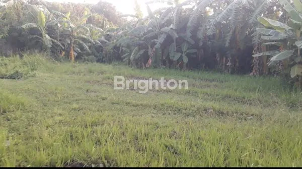 image DISEWAKAN TANAH DI RAWA BOKOR - KOTA TANGERANG (5)