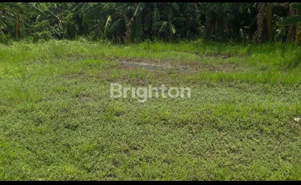 image DISEWAKAN TANAH DI RAWA BOKOR - KOTA TANGERANG (3)