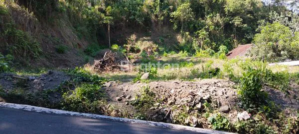 image DIJUAL TANAH DI DARMASABA DENPASAR 8 ARE (1)