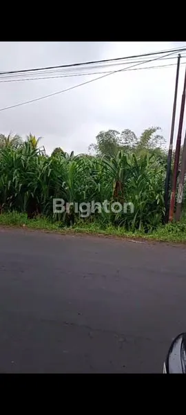 image DIJUAL TANAH 11 ARE PINGGIR JALAN RAYA HULINGAN (2)