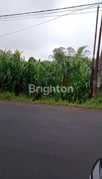 image DIJUAL TANAH 11 ARE PINGGIR JALAN RAYA HULINGAN (1)