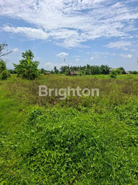 image DIJUAL TANAH DI SIBANG34,5 ARE (2)