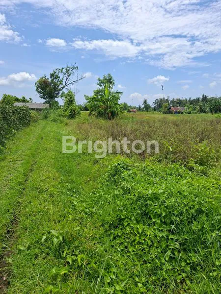 image DIJUAL TANAH DI SIBANG34,5 ARE (3)