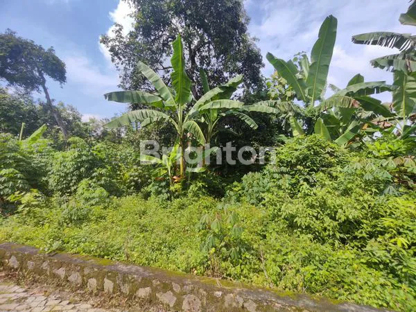 image DI JUAL TANAH MAOSPATI  (7)