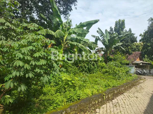 image DI JUAL TANAH MAOSPATI  (3)