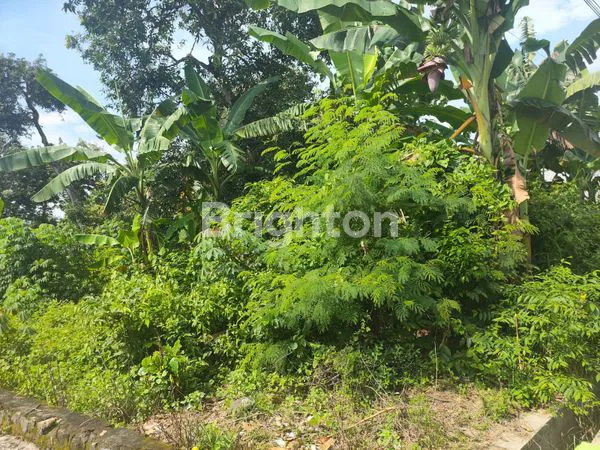 image DI JUAL TANAH MAOSPATI  (6)