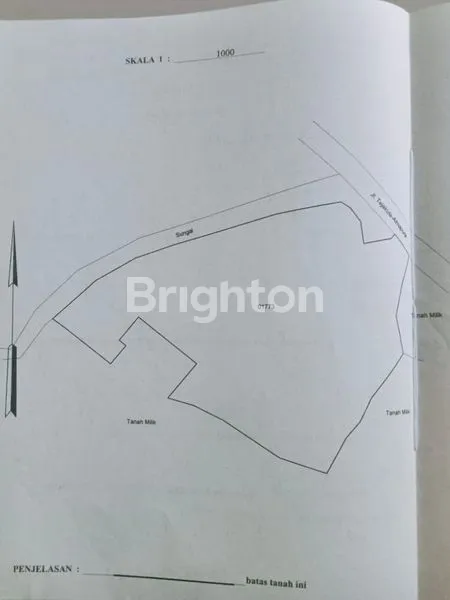 image JUAL TANAH 1,1 HEKTAR DI TEJAKULA, SINGARAJA (2)