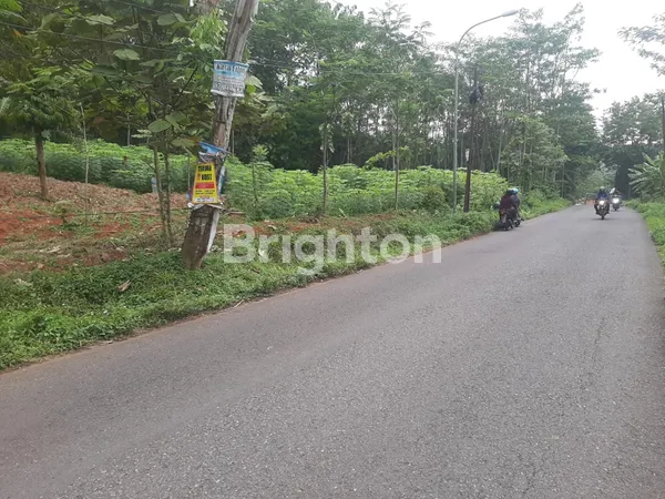 image TANAH DI DEKAT BEJI KALONGAN UNGARAN TIMUR (3)