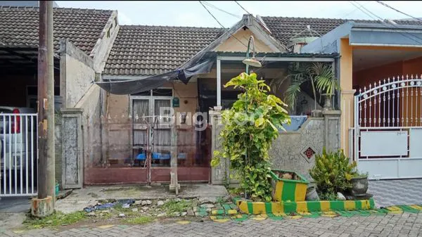 image GRIYA CANDRA MAS MURAH (1)