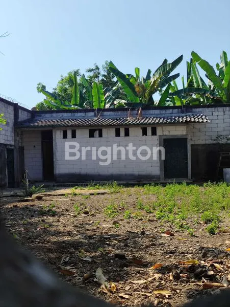 image INVESTASI SARANG WALET DESA BAGI, DEKAT MADIUN (3)