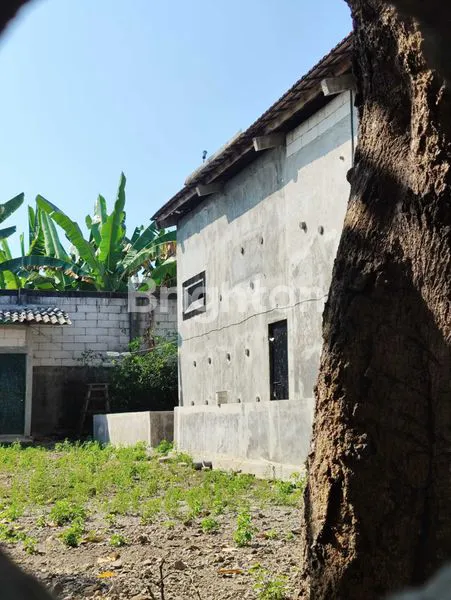 image INVESTASI SARANG WALET DESA BAGI, DEKAT MADIUN (4)