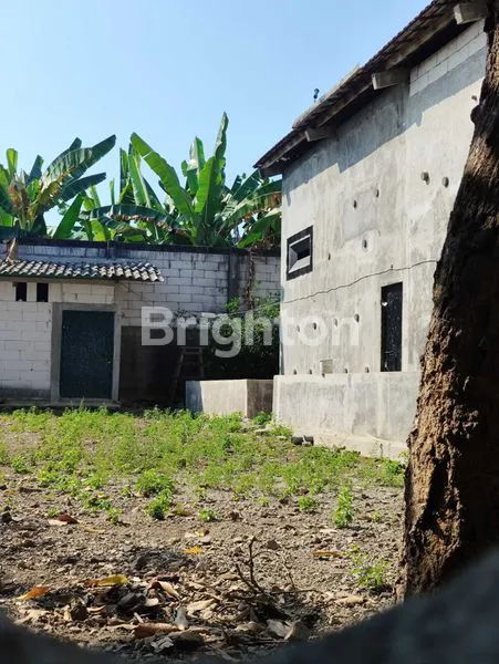 image INVESTASI SARANG WALET DESA BAGI, DEKAT MADIUN (2)