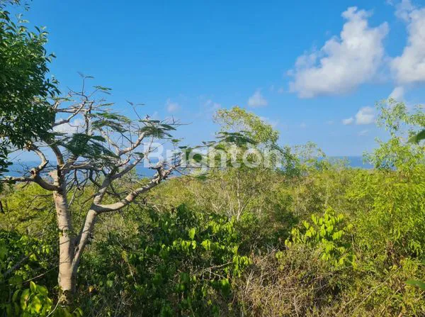 image TANAH DENGAN FULL OCEAN VIEW DI KAWASAN VILLA PANDAWA, BALI (4)