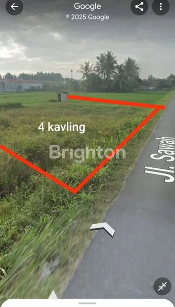 image DI JUAL SAWAH (1)