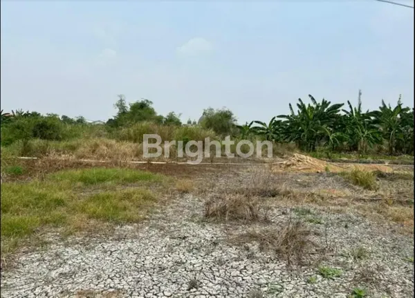 image DIJUAL MURAH TANAH STRATEGIS, MOROWUDI CERME-GRESIK (1)