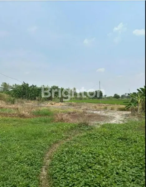 image DIJUAL MURAH TANAH STRATEGIS, MOROWUDI CERME-GRESIK (2)