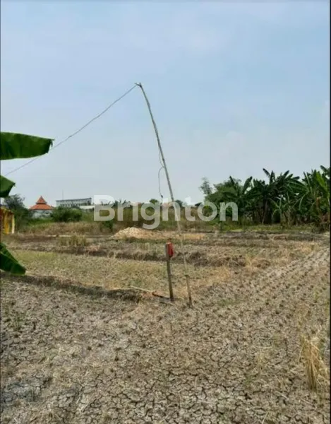 image DIJUAL MURAH TANAH STRATEGIS, MOROWUDI CERME-GRESIK (4)