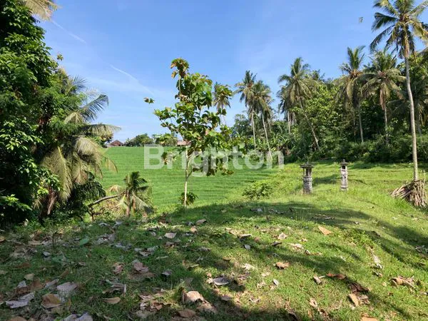 image TANAH HIDDEN GEM SELEMADEG BARAT (2)