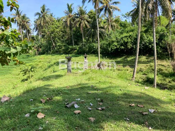 image TANAH HIDDEN GEM SELEMADEG BARAT (4)