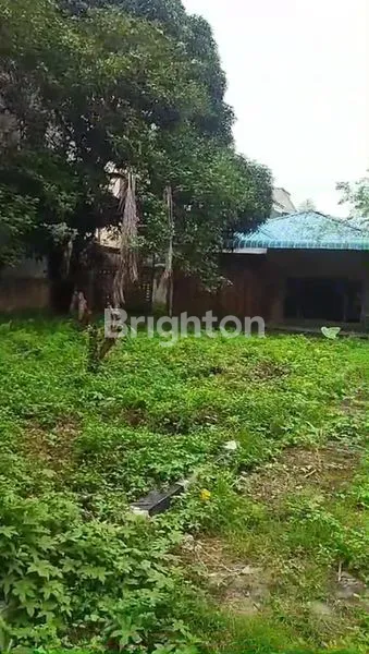 image DIJUAL RUMAH DAN TANAH KOSONG  (2)
