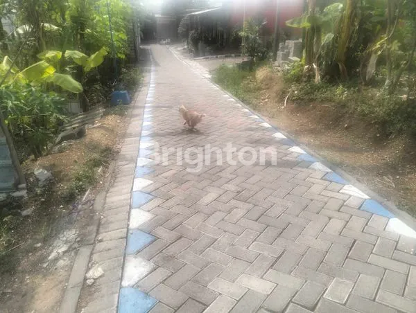 image TANAH VETERAN GRESIK KOTA (1)