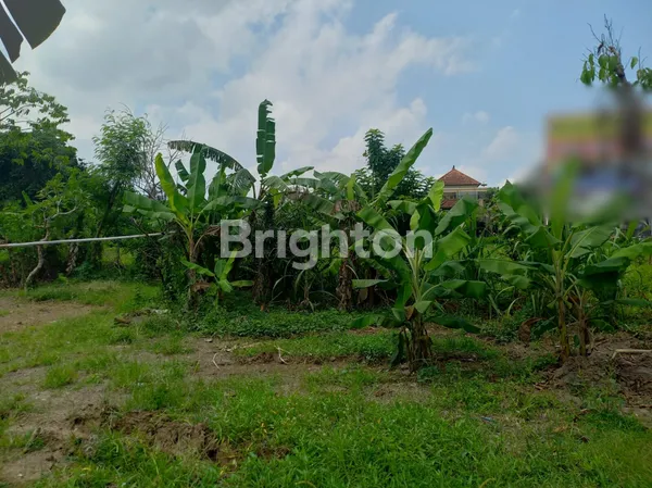 DIJUAL CEPAT! TANAH KAVLING SHM 12 ARE HARGA NEGO! ITR KUNING HADAP TENGGARA