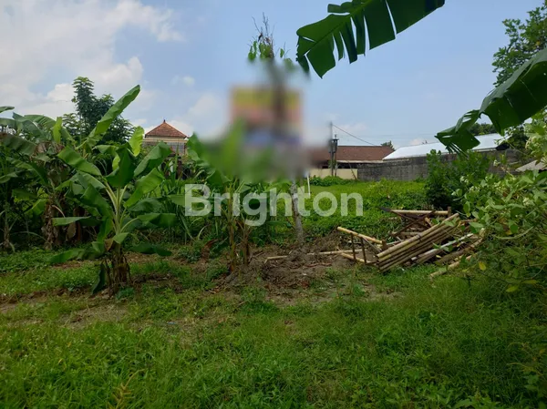 image DIJUAL CEPAT! TANAH KAVLING SHM 12 ARE HARGA NEGO! ITR KUNING HADAP TENGGARA (2)