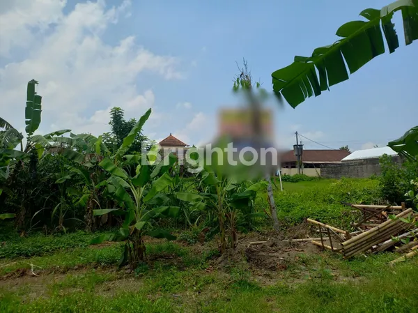 image DIJUAL CEPAT! TANAH KAVLING SHM 12 ARE HARGA NEGO! ITR KUNING HADAP TENGGARA (3)