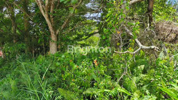 image TANAH STRATEGIS  SRI SEJAHTERA (2)