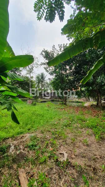 image TANAH STRATEGIS SHM DI RAWA BONI TANGERANG (5)