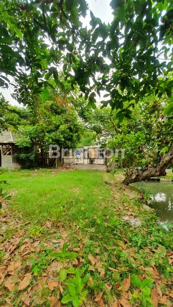 image TANAH STRATEGIS SHM DI RAWA BONI TANGERANG (4)