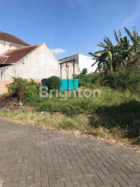 image TANAH STRATEGIS DI JALAN TELUK ETNA DEKAT DENGAN TERMINAL ARJOSARI MALANG (2)