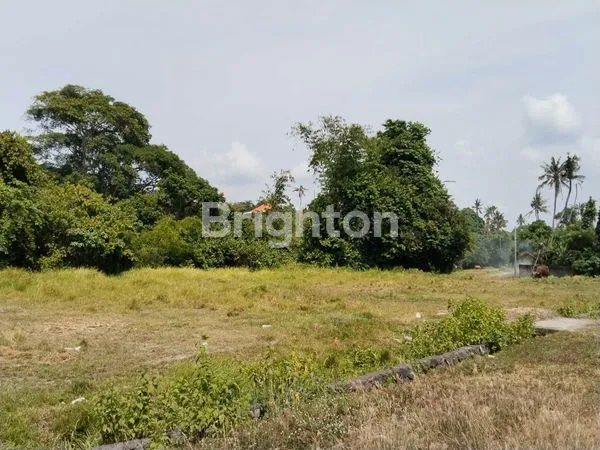 image TANAH STRATEGIS BY PASS IDA BAGUS MANTRA 36 ARE (4)