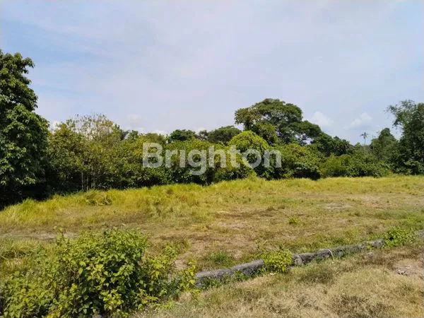 image TANAH STRATEGIS BY PASS IDA BAGUS MANTRA 36 ARE (1)