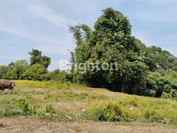 image TANAH STRATEGIS BY PASS IDA BAGUS MANTRA 36 ARE (5)