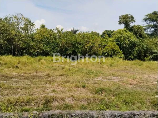 image TANAH STRATEGIS BY PASS IDA BAGUS MANTRA 36 ARE (3)