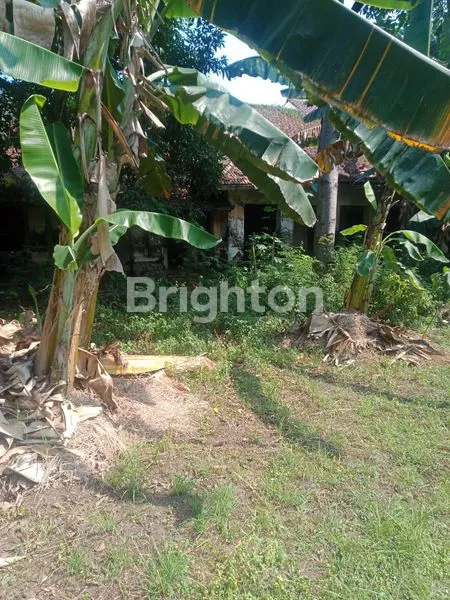 image TANAH STRATEGIS DI GAJAH MUNGKUR, LT 4960M² (5)