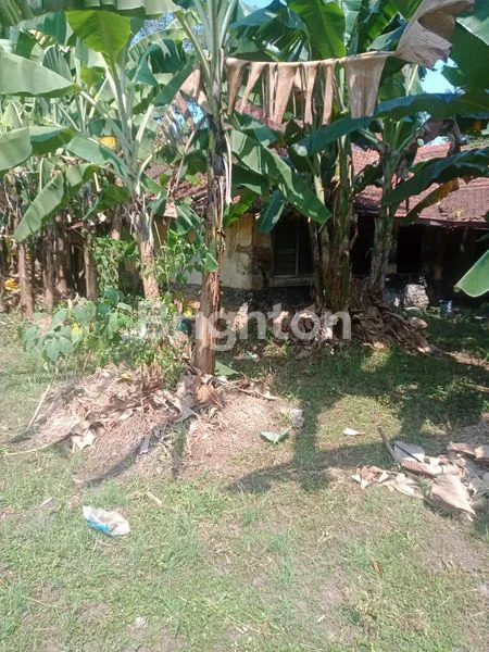 image TANAH STRATEGIS DI GAJAH MUNGKUR, LT 4960M² (4)