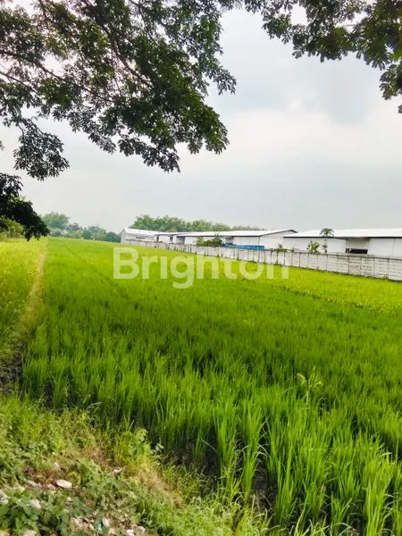 image TANAH UNTUK DI JUAL  (3)