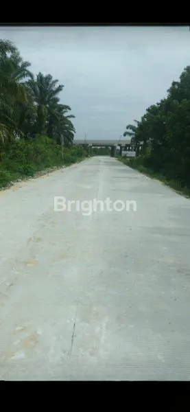 image TANAH STRATEGIS 290M DEKAT TOL (1)