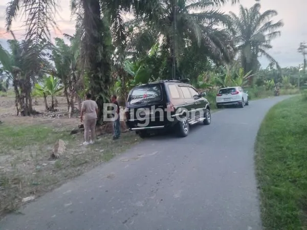 image LAHAN SELUAS 3 HEKTAR DI DESA ARAS KABU, JLN.BATANG KUIS KUALANAMU, COCOK UNTUK MEMBANGUN PERUMAHAN (1)