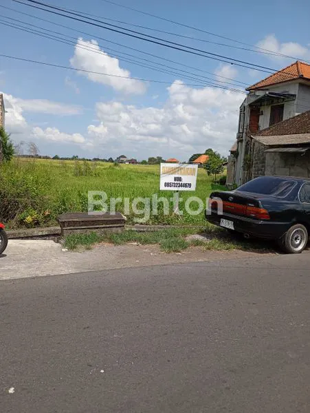 image LAHAN INVESTASI 41 ARE DI JALAN KATJONG (2)