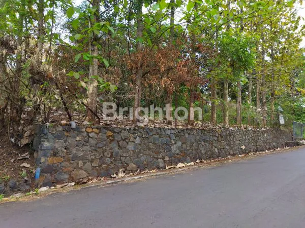 image TANAH LUAS 4.709M² DI MIJEN (4)