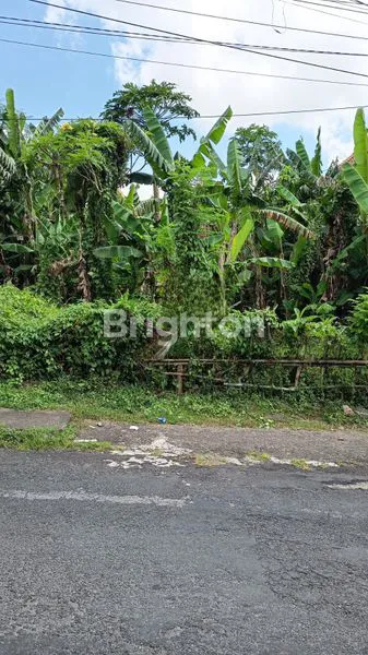 image \UD83C\UDF3F TANAH DISEWAKAN – PEGUYANGAN KAJA, DENPASAR UTARA \UD83C\UDF3F (2)